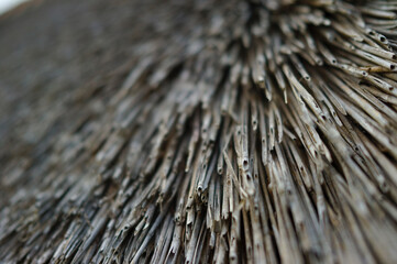 Ein altes Reetdach in der Nahaufnahme