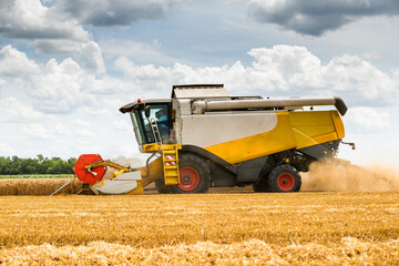 Combine harvester in action on wheat field. Harvesting is the process of gathering a ripe crop from...