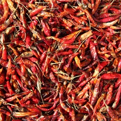 Chili peppers drying in Thailand