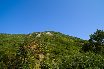 Fototapeta na wymiar Veduta dal sentiero per le cascate del Fosso di Teria a Secchiano nelle Marche