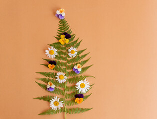 Summer christms tree made of fern and chamomile and pansie flowers with copy space. Alternative celebration of new year