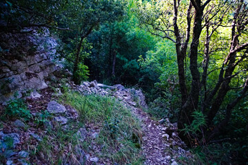 Fototapeta na wymiar Sentiero per le cascate del Fosso di Teria a Secchiano nelle Marche