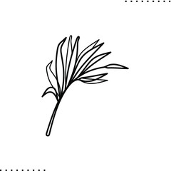 tropical leaf, foliage vector icon in outline