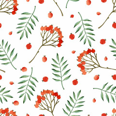 Rowan berry watercolor seamless pattern 