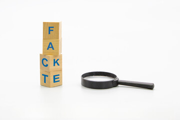 FACT or FAKE concept, wood block with magnifying glass on white background