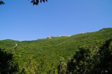 Panorama lungo il sentiero delle cascate del Fosso di Teria a Secchiano nelle Marche