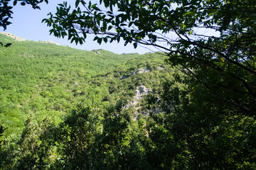 Obraz premium Panorama lungo il sentiero delle cascate del Fosso di Teria a Secchiano nelle Marche