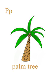 Fototapeta premium The alphabet, the letter p. Green palm tree on a white isolated background