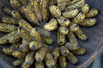 Spotted bananas all over the diseased body and its background is blurry