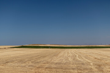 Wheat fields. landscape of yellow and green fields and sky.