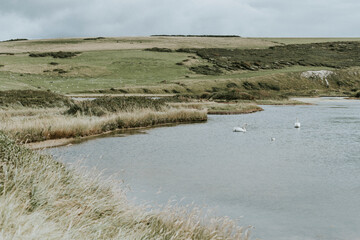 Landscape of a grassland by the water