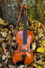 close-up violin and classical wooden bow in natural environment