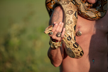 Snake in hand with rings and bracelets. Snake charmer