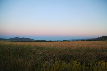 Fototapeta na wymiar field in the evening