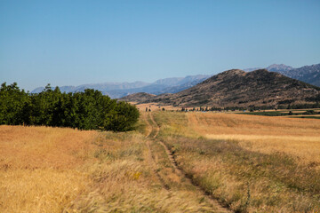 Fototapeta premium fşeld road