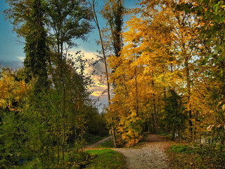 Herbstwald, Schweiz am Fluss Sihl, bunte Laubbäume