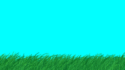 Fototapeta na wymiar Green grass on Blu sky Background 