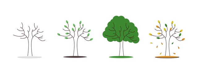 Four seasons tree. Winter, autumn, spring and summer. The tree at different times of the year. Vector illustration