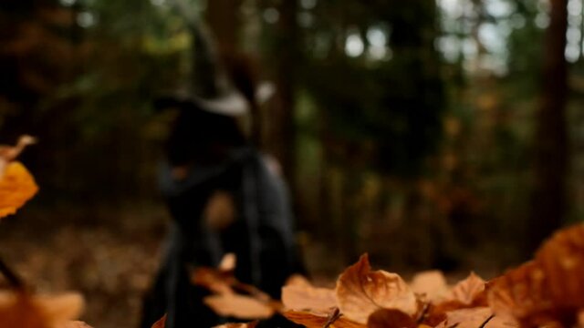 Halloween holiday.Little witch in a green hat and an old cloak with a broom in the autumn dark forest. Little sorceress.Fairy tale and magic.