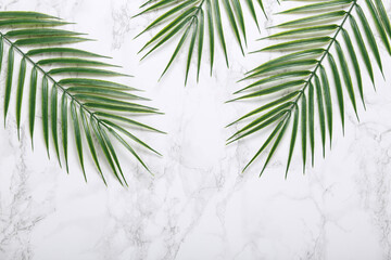 Palm leaves on a marble background. Flora background