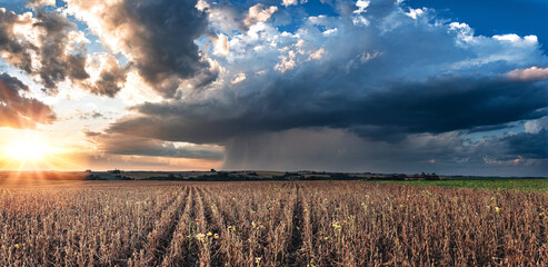 Chuva de verão! © Renan