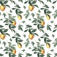Watercolor seamless pattern with lemons and citrus branches.