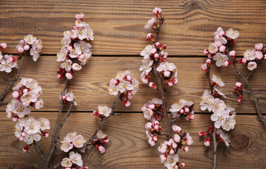 Beautiful white flowering branches on wooden background. Springtime concept. Flat lay, top view