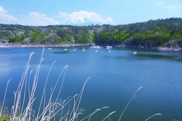 Fototapeta premium Japan - Fuji san