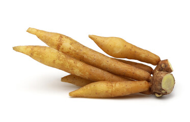 Finger root (Krachai) isolated on white background, cut out.