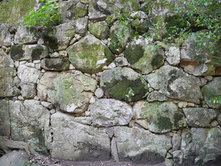 石垣と苔