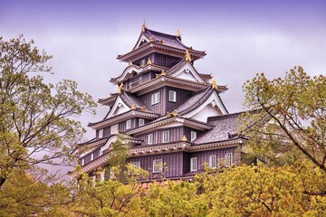 Naklejka premium Okayama castle - Japan landmark