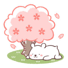 サクラと子供シロクマ