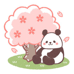 サクラとパンダ