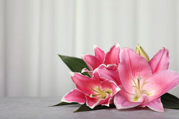 Beautiful pink lily flowers on grey table, space for text