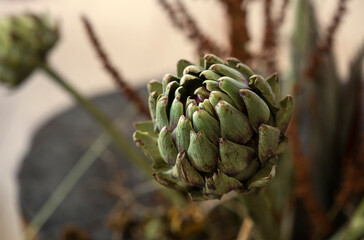 Large beautiful bouquet of artichoke flower. Flower decoration in pink tones
