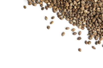 Hemp seeds on white background, top view