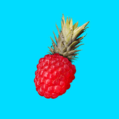 Contemporary artwork, zine collage, modern design. Party summer mood. Composition with mix fruit...