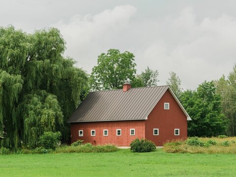 Red barn and weeping willow tree, in Shelburne, Vermont