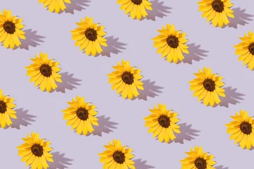 Rolgordijnen Sunlight Pattern made with yellow sunflowers on pastel purple background. Minimal summer isometric composition. © Santijago