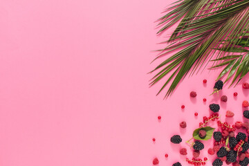 Berries under tropical green palm leaves. paper.Juicy,fresh raspberries,blackberries and currants...