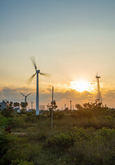 wind turbines at sunrise