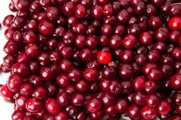 A lot of cherries covering white table