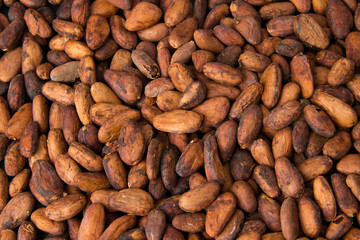 A lot of unpeeled cacao beans texture