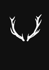 Obraz premium Geweih