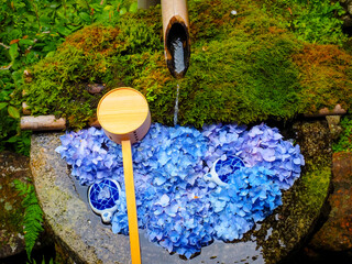 【京都府】柳田観音 楊谷寺の紫陽花の花手水