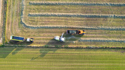 Aerial of tractor baler making straw bales in field after wheat harvest in summer on farm. High...
