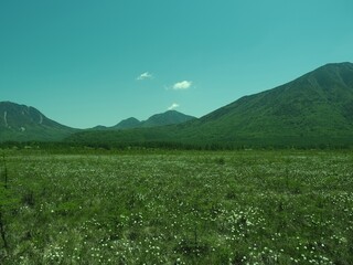 Fototapeta premium Walk through Senjogahara in early summer
