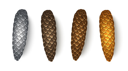 Realistic Christmas fir tree cones set isolated on white background. Vector illustration. Brown, silver and golden pinecones collection