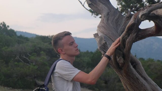 A man stroking the bark of a relict juniper with his hand