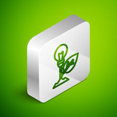Isometric line Light bulb with leaf icon isolated on green background. Eco energy concept. Alternative energy concept. Silver square button. Vector